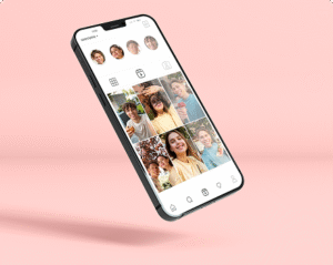 From Budget-Friendly To Premium Powerhouses